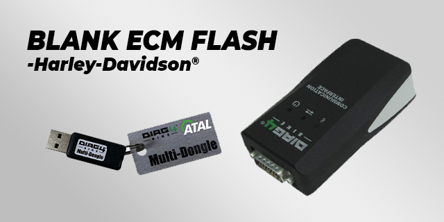 Blank ECM Flash